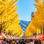 八王子いちょう祭り2026の日程と屋台は？並木100年記念・混雑と交通規制